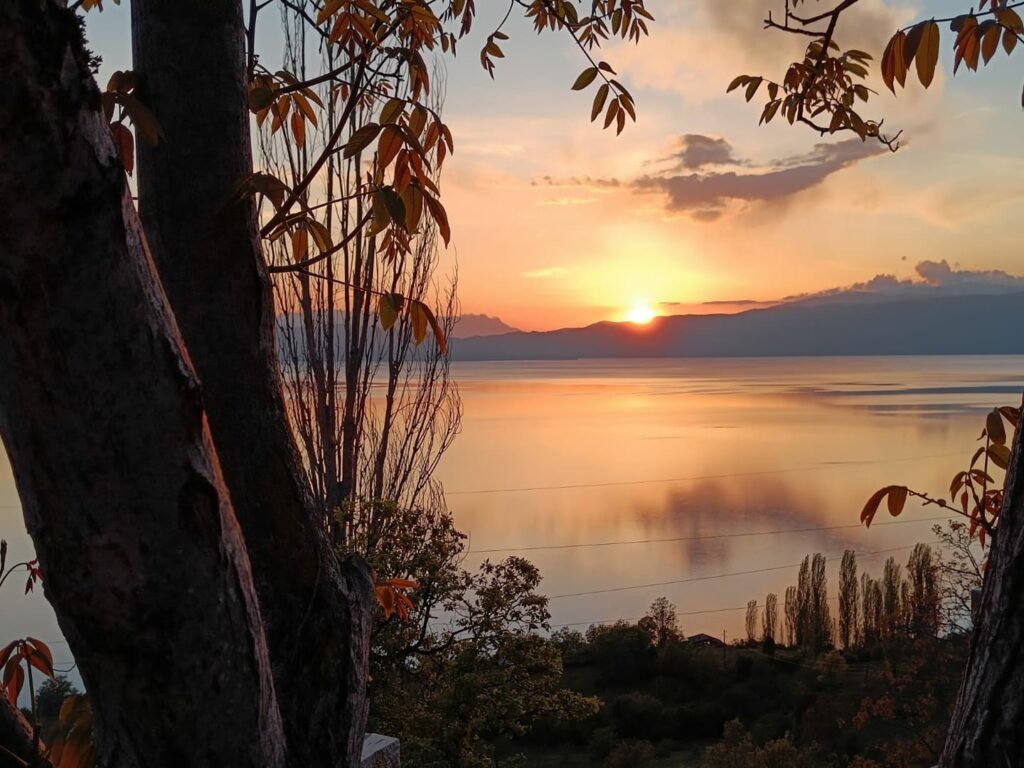 Vik's barbecue st sunset